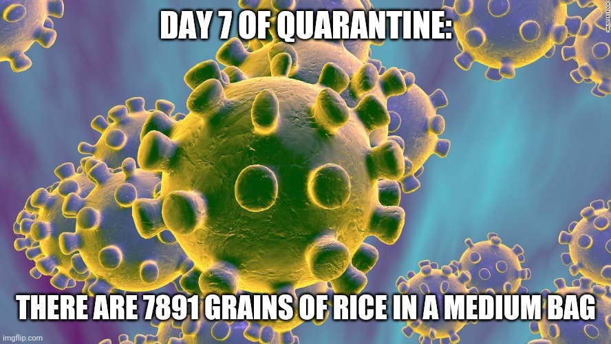 Coronavirus | DAY 7 OF QUARANTINE:; THERE ARE 7891 GRAINS OF RICE IN A MEDIUM BAG | image tagged in coronavirus | made w/ Imgflip meme maker