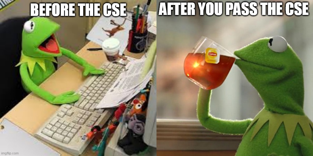 BEFORE THE CSE; AFTER YOU PASS THE CSE | image tagged in memes,but thats none of my business | made w/ Imgflip meme maker