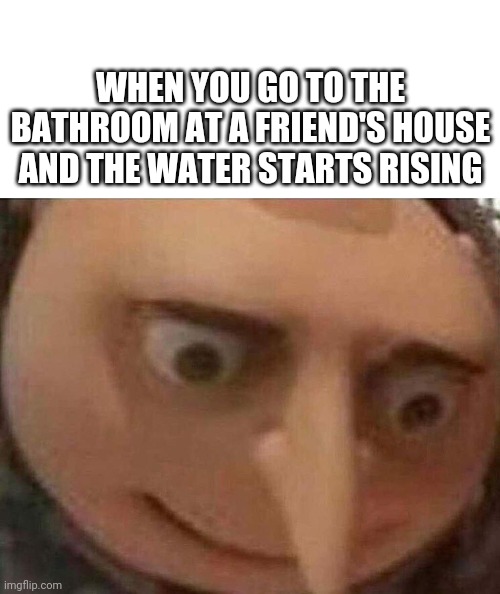 gru meme | WHEN YOU GO TO THE BATHROOM AT A FRIEND'S HOUSE AND THE WATER STARTS RISING | image tagged in gru meme | made w/ Imgflip meme maker