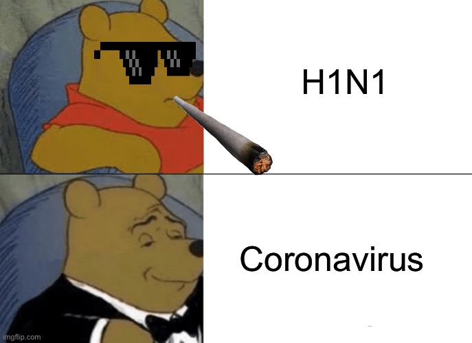 Tuxedo Winnie The Pooh | H1N1; Coronavirus | image tagged in memes,tuxedo winnie the pooh | made w/ Imgflip meme maker