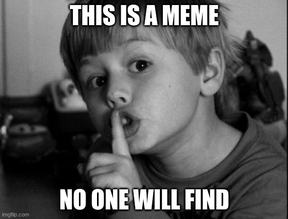 Shhhh | THIS IS A MEME; NO ONE WILL FIND | image tagged in shhhh | made w/ Imgflip meme maker