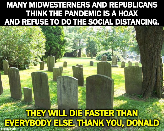 Trump shouldn't have called it a hoax. There is also no vaccine or cure any time soon. Trump cares for no one but himself. | MANY MIDWESTERNERS AND REPUBLICANS THINK THE PANDEMIC IS A HOAX AND REFUSE TO DO THE SOCIAL DISTANCING. THEY WILL DIE FASTER THAN EVERYBODY ELSE. THANK YOU, DONALD | image tagged in cemetery,social distancing,trump,hoax,pandemic,coronavirus | made w/ Imgflip meme maker