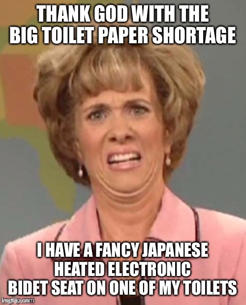yuck | THANK GOD WITH THE BIG TOILET PAPER SHORTAGE; I HAVE A FANCY JAPANESE HEATED ELECTRONIC BIDET SEAT ON ONE OF MY TOILETS | image tagged in yuck | made w/ Imgflip meme maker