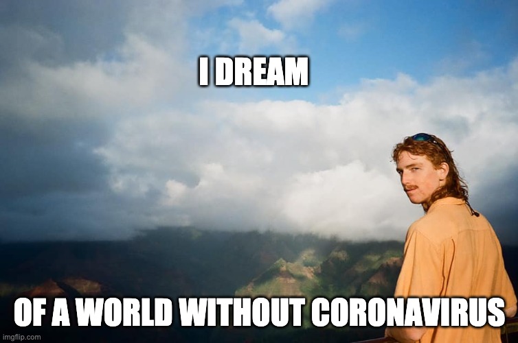 A WORLD WITHOUT CORONAVIRUS | I DREAM; OF A WORLD WITHOUT CORONAVIRUS | image tagged in coronavirus | made w/ Imgflip meme maker