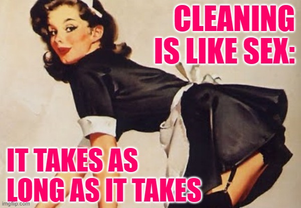 As Long As It Takes | CLEANING IS LIKE SEX:; IT TAKES AS LONG AS IT TAKES | image tagged in cleaning,spring cleaning,housework,humor,housewife,lol so funny | made w/ Imgflip meme maker