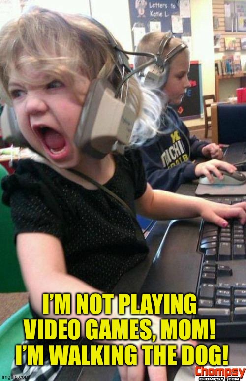 Angry Gamer Girl | I’M NOT PLAYING VIDEO GAMES, MOM!  I’M WALKING THE DOG! | image tagged in screaming gamer girl | made w/ Imgflip meme maker