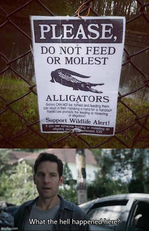 Don't molest alligators. | image tagged in what the hell happened here,alligators,signs,memes,oh wow are you actually reading these tags,reeeeeeeeeeeeeeeeeeeeee | made w/ Imgflip meme maker
