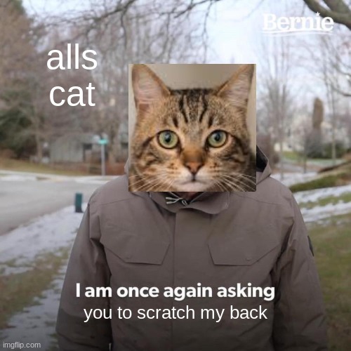 all cats | alls
cat; you to scratch my back | image tagged in memes,bernie i am once again asking for your support | made w/ Imgflip meme maker