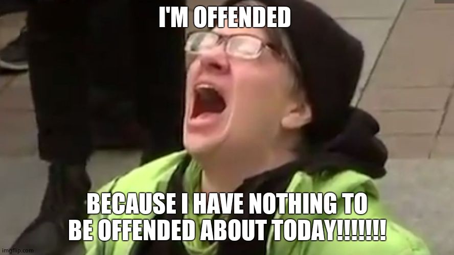 Screaming Liberal  | I'M OFFENDED BECAUSE I HAVE NOTHING TO BE OFFENDED ABOUT TODAY!!!!!!! | image tagged in screaming liberal | made w/ Imgflip meme maker