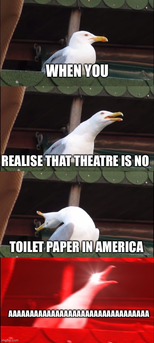 Inhaling Seagull | WHEN YOU; REALISE THAT THEATRE IS NO; TOILET PAPER IN AMERICA; AAAAAAAAAAAAAAAAAAAAAAAAAAAAAAAAA | image tagged in memes,inhaling seagull | made w/ Imgflip meme maker