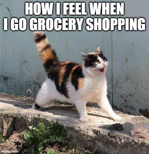 HOW I FEEL WHEN I GO GROCERY SHOPPING | image tagged in funny memes,shopping,coronavirus | made w/ Imgflip meme maker