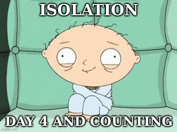 straitjacket stewie | ISOLATION; DAY 4 AND COUNTING | image tagged in straitjacket stewie | made w/ Imgflip meme maker