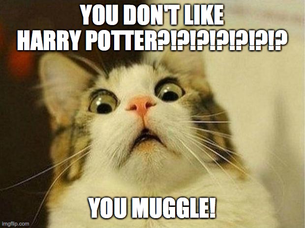 Scared Cat | YOU DON'T LIKE HARRY POTTER?!?!?!?!?!?!? YOU MUGGLE! | image tagged in memes,scared cat | made w/ Imgflip meme maker