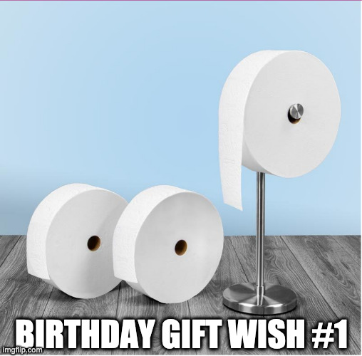 toilet paper | BIRTHDAY GIFT WISH #1 | image tagged in toilet paper | made w/ Imgflip meme maker