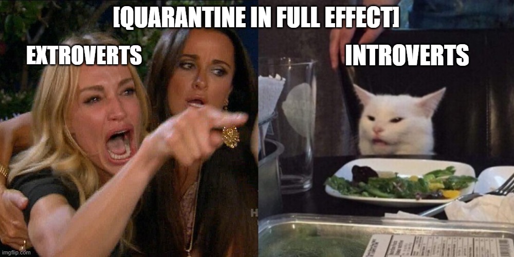 Woman yelling at cat |  [QUARANTINE IN FULL EFFECT]; EXTROVERTS; INTROVERTS | image tagged in woman yelling at cat,coronavirus,introvert,quarantine | made w/ Imgflip meme maker