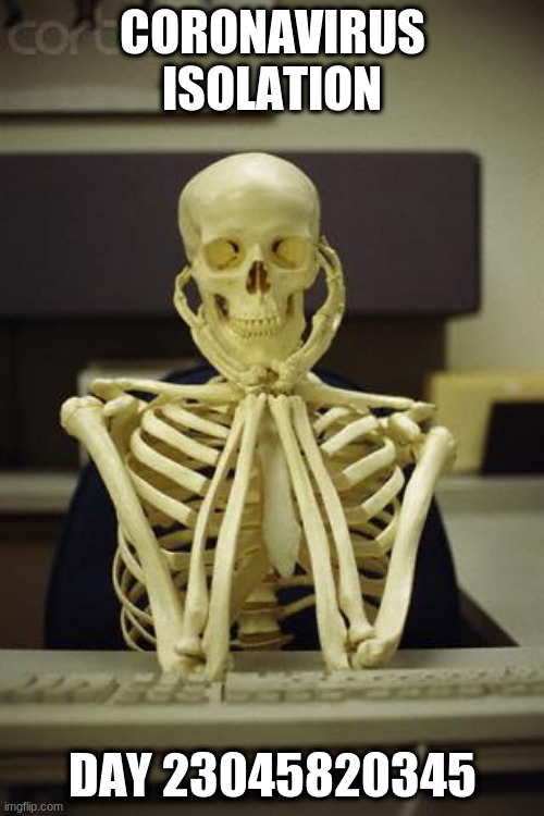Waiting Skeleton | CORONAVIRUS ISOLATION; DAY 23045820345 | image tagged in waiting skeleton | made w/ Imgflip meme maker