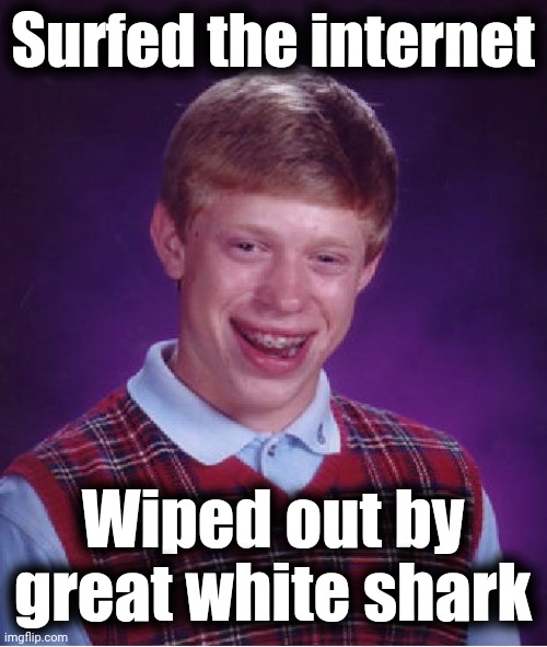 Bad Luck Brian Meme | Surfed the internet Wiped out by great white shark | image tagged in memes,bad luck brian | made w/ Imgflip meme maker