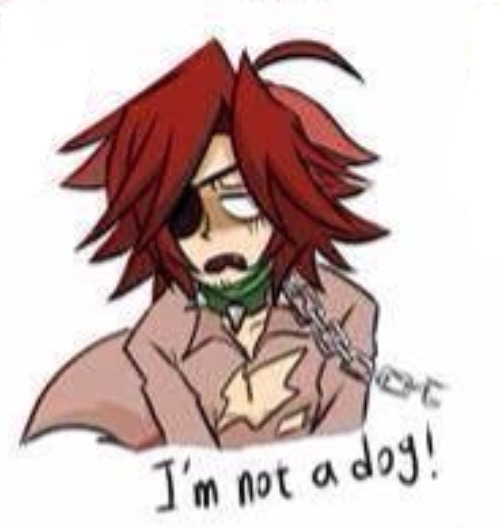 I'm not a dog! Foxy Blank Meme Template