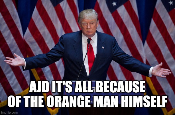 Donald Trump | AJD IT'S ALL BECAUSE OF THE ORANGE MAN HIMSELF | image tagged in donald trump | made w/ Imgflip meme maker