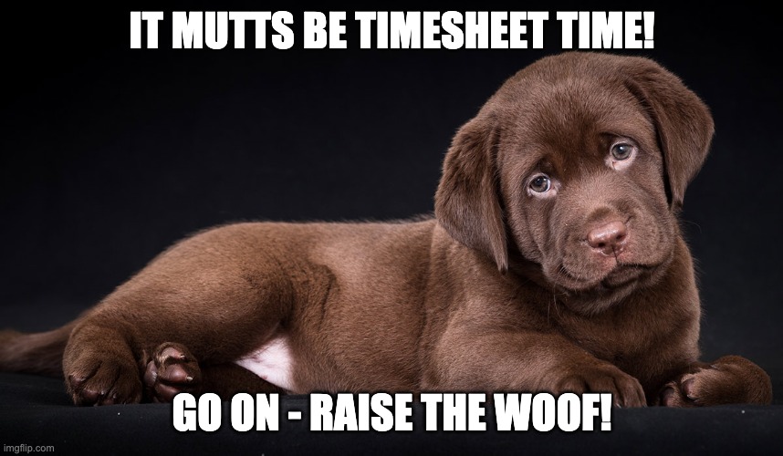 doggy timesheet reminder | IT MUTTS BE TIMESHEET TIME! GO ON - RAISE THE WOOF! | image tagged in doggy timesheet reminder,timesheet reminder,meme,timesheet meme,cute dogs,cute memes | made w/ Imgflip meme maker