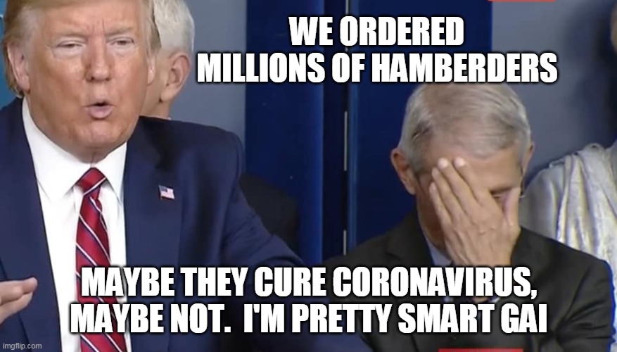 WE ORDERED MILLIONS OF HAMBERDERS; MAYBE THEY CURE CORONAVIRUS, MAYBE NOT.  I'M PRETTY SMART GAI | image tagged in politics,hamberders,coronavirus,fauci | made w/ Imgflip meme maker