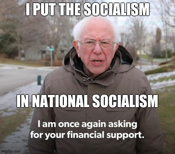 Bernie Financial Support | I PUT THE SOCIALISM IN NATIONAL SOCIALISM | image tagged in bernie financial support | made w/ Imgflip meme maker