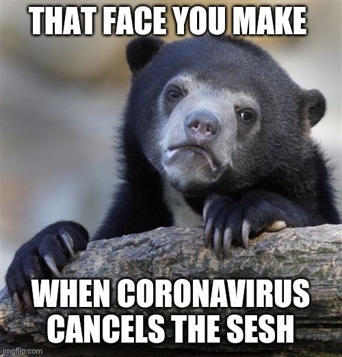 No sesh this weekend | THAT FACE YOU MAKE; WHEN CORONAVIRUS CANCELS THE SESH | image tagged in memes,confession bear,seshlehem | made w/ Imgflip meme maker