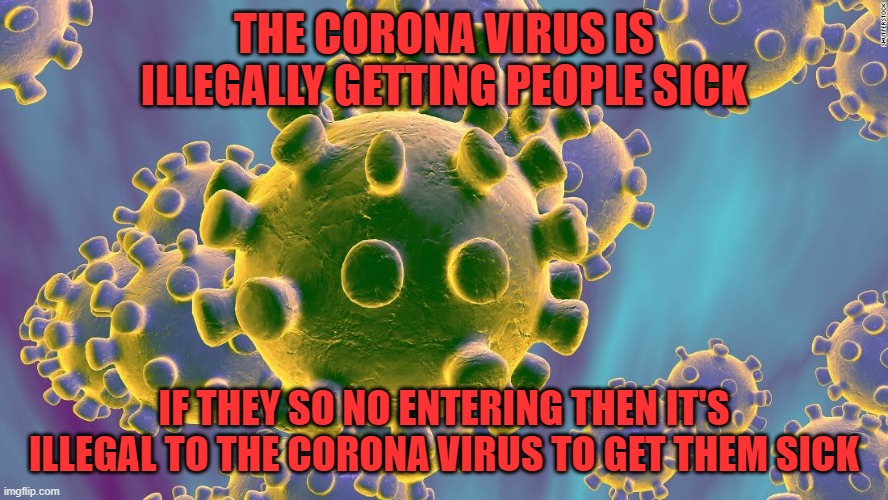 Coronavirus | THE CORONA VIRUS IS ILLEGALLY GETTING PEOPLE SICK; IF THEY SO NO ENTERING THEN IT'S ILLEGAL TO THE CORONA VIRUS TO GET THEM SICK | image tagged in coronavirus | made w/ Imgflip meme maker