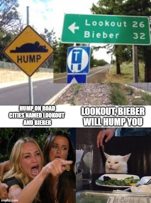 HUMP ON ROAD
CITIES NAMED LOOKOUT 
AND BIEBER; LOOKOUT, BIEBER WILL HUMP YOU | image tagged in memes,woman yelling at cat | made w/ Imgflip meme maker