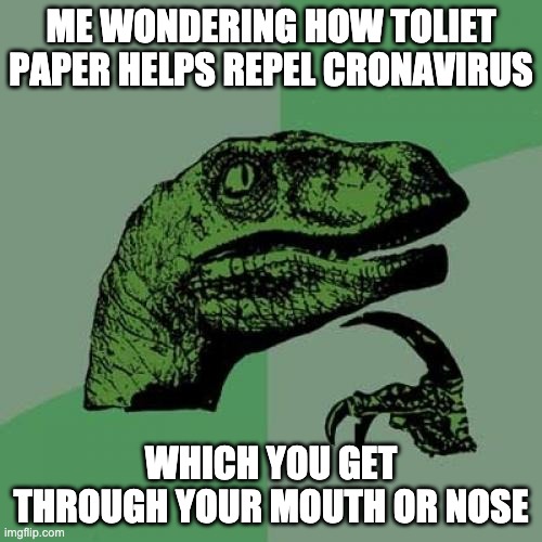 Philosoraptor | ME WONDERING HOW TOLIET PAPER HELPS REPEL CRONAVIRUS; WHICH YOU GET THROUGH YOUR MOUTH OR NOSE | image tagged in memes,philosoraptor | made w/ Imgflip meme maker