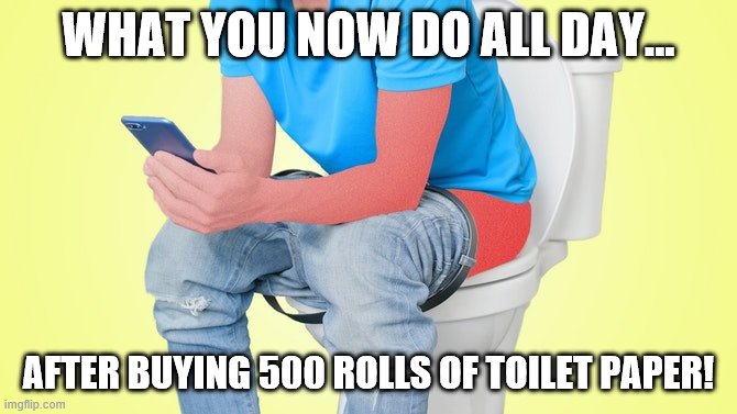 WHAT YOU NOW DO ALL DAY... AFTER BUYING 500 ROLLS OF TOILET PAPER! | image tagged in toilet paper,funny,sitting on toilet | made w/ Imgflip meme maker