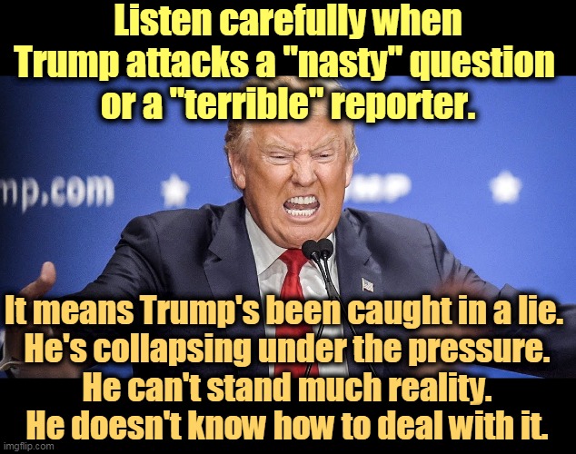 A weak, selfish man. A very weak, selfish man. A deranged, senile, pill-popping, incipient alzheimers snowflake. | Listen carefully when Trump attacks a "nasty" question 
or a "terrible" reporter. It means Trump's been caught in a lie. 
He's collapsing under the pressure.
He can't stand much reality.
He doesn't know how to deal with it. | image tagged in trump angry when his bubble is pricked,trump,deranged,senile,drug addiction,liar | made w/ Imgflip meme maker