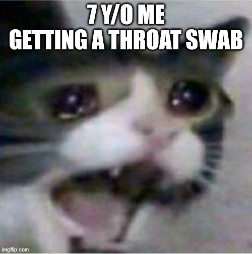 crying cat | 7 Y/O ME GETTING A THROAT SWAB | image tagged in crying cat | made w/ Imgflip meme maker