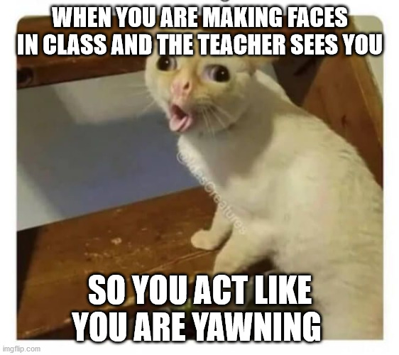 Coughing Cat | WHEN YOU ARE MAKING FACES IN CLASS AND THE TEACHER SEES YOU; SO YOU ACT LIKE YOU ARE YAWNING | image tagged in coughing cat | made w/ Imgflip meme maker