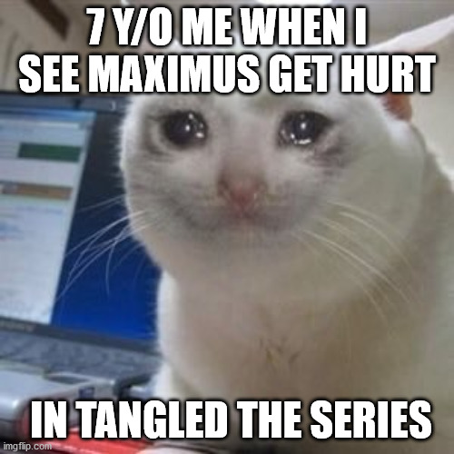Sad cat tears | 7 Y/O ME WHEN I SEE MAXIMUS GET HURT; IN TANGLED THE SERIES | image tagged in sad cat tears | made w/ Imgflip meme maker