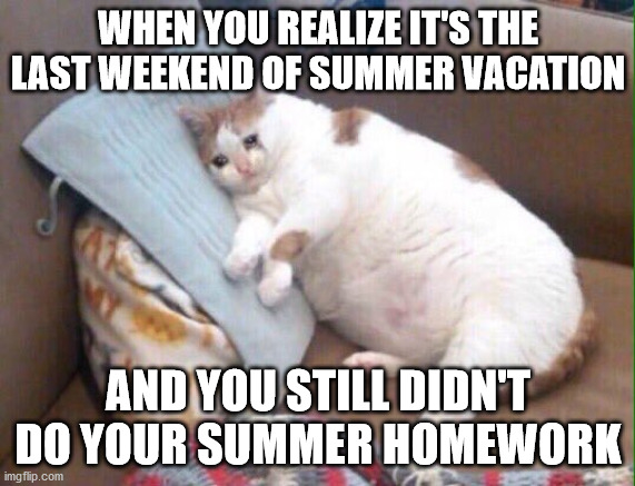 Crying cat | WHEN YOU REALIZE IT'S THE LAST WEEKEND OF SUMMER VACATION; AND YOU STILL DIDN'T DO YOUR SUMMER HOMEWORK | image tagged in crying cat | made w/ Imgflip meme maker
