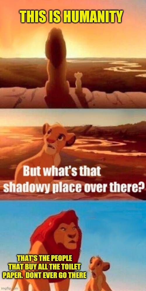 Simba Shadowy Place Meme | THIS IS HUMANITY; THAT'S THE PEOPLE THAT BUY ALL THE TOILET PAPER.  DONT EVER GO THERE | image tagged in memes,simba shadowy place | made w/ Imgflip meme maker