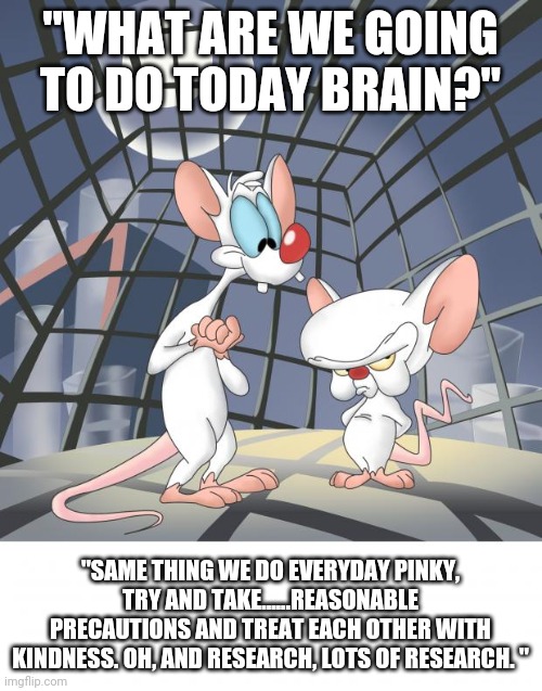 Pinky and the brain | "WHAT ARE WE GOING TO DO TODAY BRAIN?"; "SAME THING WE DO EVERYDAY PINKY, TRY AND TAKE......REASONABLE PRECAUTIONS AND TREAT EACH OTHER WITH KINDNESS. OH, AND RESEARCH, LOTS OF RESEARCH. " | image tagged in pinky and the brain | made w/ Imgflip meme maker