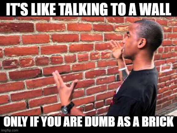 If you bring nothing to the discussion and expect me to give an inch, then talking to me might feel this way | IT'S LIKE TALKING TO A WALL; ONLY IF YOU ARE DUMB AS A BRICK | image tagged in brick wall guy,dumb,imgflip trolls,trolling the troll,the daily struggle imgflip edition,first world imgflip problems | made w/ Imgflip meme maker