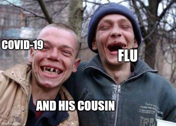 If viruses was people | COVID-19; FLU; AND HIS COUSIN | image tagged in memes,ugly twins,coronavirus,funny meme | made w/ Imgflip meme maker
