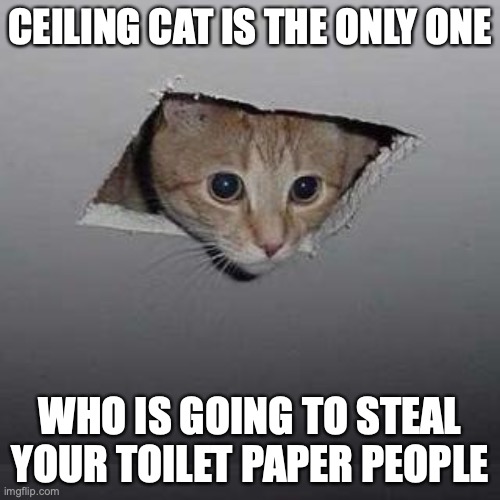 Stop Hoarding Toilet Paper | CEILING CAT IS THE ONLY ONE; WHO IS GOING TO STEAL YOUR TOILET PAPER PEOPLE | image tagged in memes,ceiling cat,coronavirus,toilet paper,funny memes | made w/ Imgflip meme maker