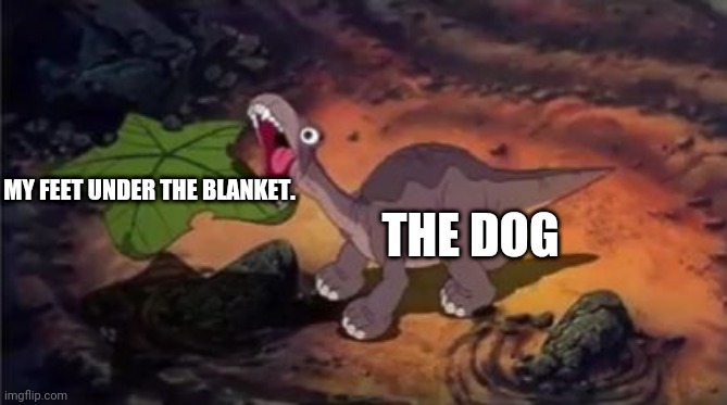 Dinosaur eating | MY FEET UNDER THE BLANKET. THE DOG | image tagged in dinosaur eating | made w/ Imgflip meme maker