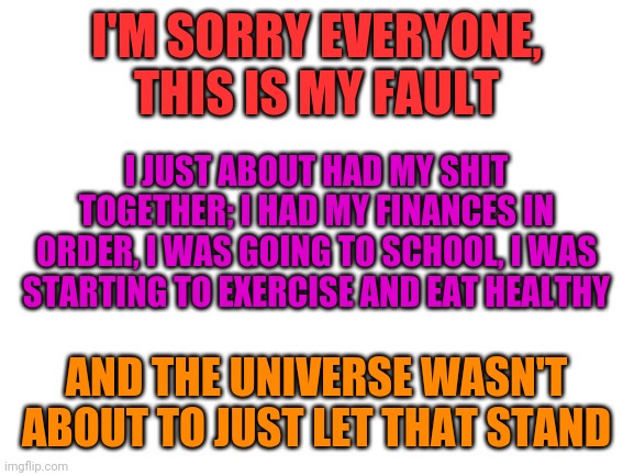 Blank White Template | I'M SORRY EVERYONE, THIS IS MY FAULT; I JUST ABOUT HAD MY SHIT TOGETHER; I HAD MY FINANCES IN ORDER, I WAS GOING TO SCHOOL, I WAS STARTING TO EXERCISE AND EAT HEALTHY; AND THE UNIVERSE WASN'T ABOUT TO JUST LET THAT STAND | image tagged in blank white template | made w/ Imgflip meme maker