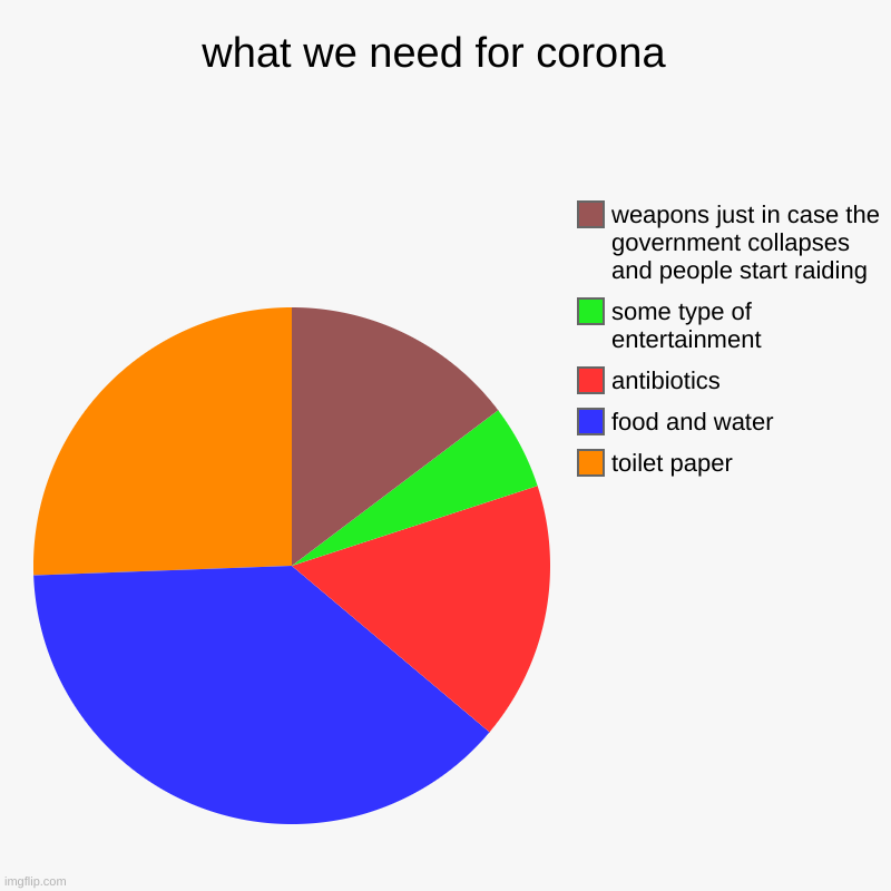 what we need for corona  | toilet paper, food and water, antibiotics , some type of entertainment , weapons just in case the government coll | image tagged in charts,pie charts | made w/ Imgflip chart maker