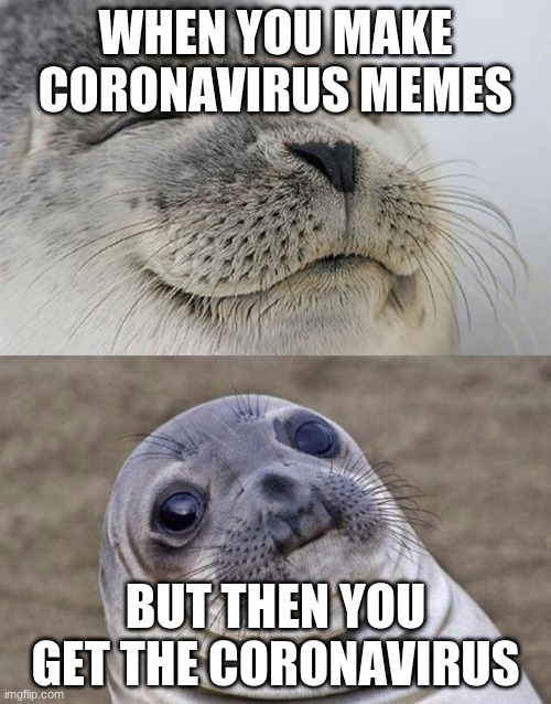 Short Satisfaction VS Truth Meme | WHEN YOU MAKE CORONAVIRUS MEMES; BUT THEN YOU GET THE CORONAVIRUS | image tagged in memes,short satisfaction vs truth | made w/ Imgflip meme maker