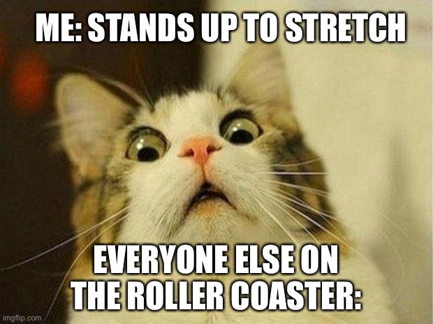Scared Cat | ME: STANDS UP TO STRETCH; EVERYONE ELSE ON THE ROLLER COASTER: | image tagged in memes,scared cat | made w/ Imgflip meme maker