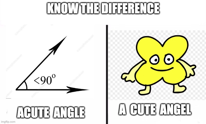 Know the Difference Psychic and Side Kick | KNOW THE DIFFERENCE; ACUTE  ANGLE; A  CUTE  ANGEL | image tagged in know the difference psychic and side kick | made w/ Imgflip meme maker