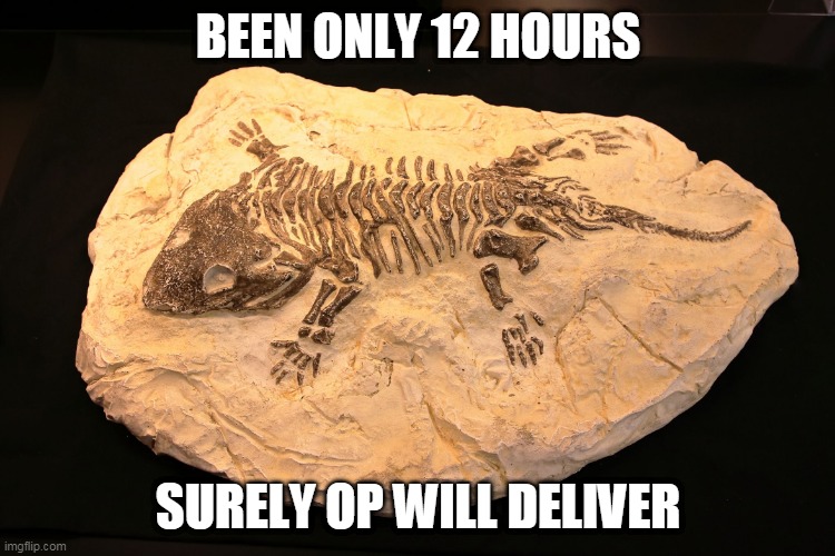 Surely OP will deliver | BEEN ONLY 12 HOURS; SURELY OP WILL DELIVER | image tagged in surely op will deliver | made w/ Imgflip meme maker