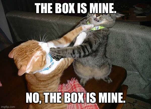 Two cats fighting for real | THE BOX IS MINE. NO, THE BOX IS MINE. | image tagged in two cats fighting for real | made w/ Imgflip meme maker