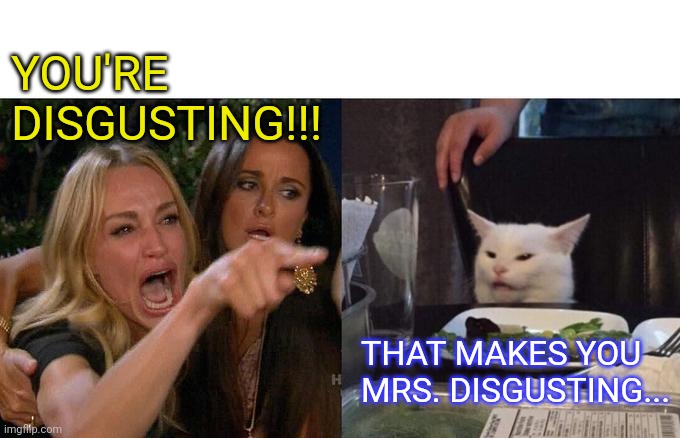 Woman Yelling At Cat | YOU'RE DISGUSTING!!! THAT MAKES YOU MRS. DISGUSTING... | image tagged in memes,woman yelling at cat | made w/ Imgflip meme maker
